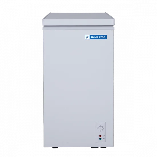 Blue Star CHFSD60DHSW 60 Ltr Deep Freezer Hard Top Deep Freezer-1